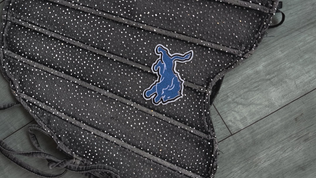 Detroit Lions Rhinestone Bustier